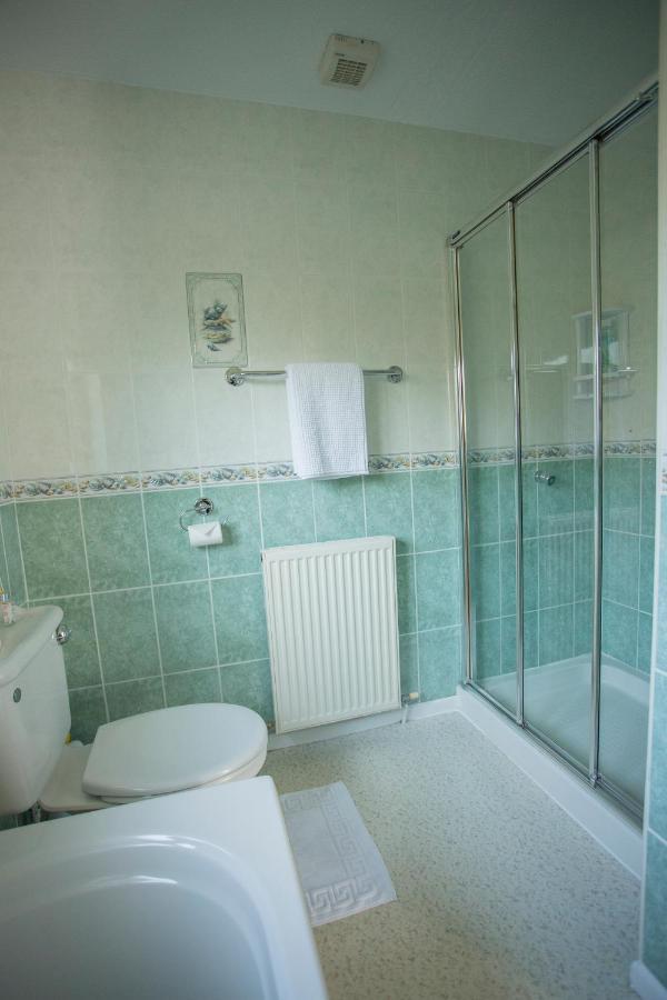 Pant-Y-Celyn Studio Apartment Аберерън Екстериор снимка